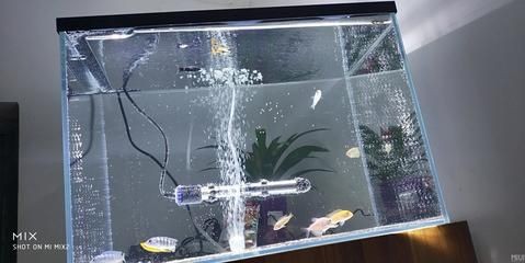 超白魚缸去哪買便宜的:滕州超白魚缸diy超白魚缸diy教程,州超白魚缸哪里買便宜?DIY教程及選購指南全 魚缸百科 第2張 超白魚缸去哪買便宜的:滕州超白魚缸diy超白魚缸diy教程,州超白魚缸哪里買便宜?DIY教程及選購指南全 超白魚缸去哪買便宜的:滕州超白魚缸diy超白魚缸diy教程,州超白魚缸哪里買便宜?DIY教程及選購指南全 魚缸百科 第2張