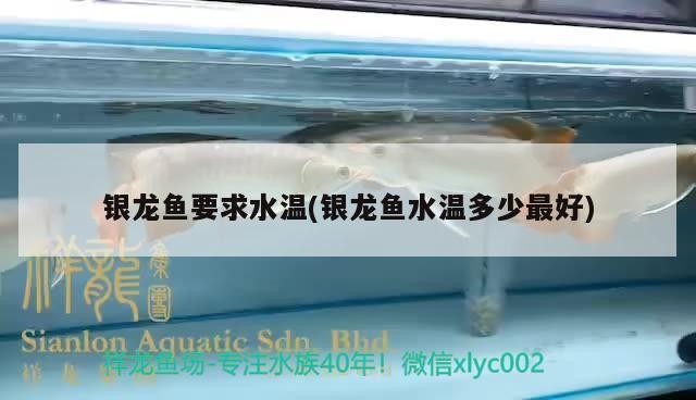 銀龍魚要求水溫(銀龍魚水溫多少最好)龍魚適宜水溫揭秘，多少度最佳及水溫管理要點詳解