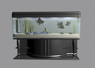 大魚(yú)缸哪里買便宜好用：購(gòu)買大魚(yú)缸時(shí)應(yīng)考慮購(gòu)買途徑、品牌選擇、品牌選擇途徑，魚(yú)缸哪里買便宜好用？購(gòu)買途徑、品牌選擇及挑選要點(diǎn) 大魚(yú)缸哪里買便宜好用：購(gòu)買大魚(yú)缸時(shí)應(yīng)考慮購(gòu)買途徑、品牌選擇、品牌選擇途徑，魚(yú)缸哪里買便宜好用？購(gòu)買途徑、品牌選擇及挑選要點(diǎn) 魚(yú)缸百科 第3張