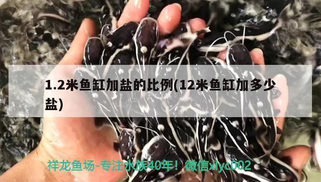 1.2米魚缸加鹽的比例(12米魚缸加多少鹽)2米魚缸加鹽比例及12米魚缸加鹽