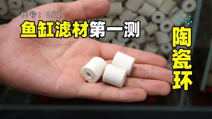 北京歐亞新世紀水族精品店（北京歐亞新世紀水族精品店地址）歐亞新世紀水族精品店，地址詳情及特色水族產品