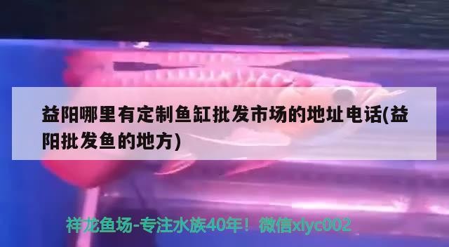 益陽哪里有定制魚缸批發市場的地址電話(益陽批發魚的地方)陽定制魚缸批發市場地址電話及益陽