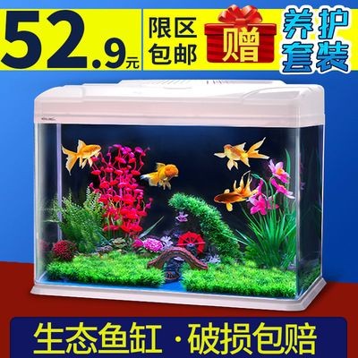 大型圓柱亞克力魚缸過濾系統(tǒng)圖：大型圓柱亞克力魚缸的保養(yǎng)