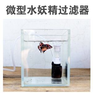 斗魚缸需要過濾器嗎怎么用：養好斗魚時，魚缸是否需要過濾器以及如何使用