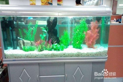 大型魚缸清理缸壁水垢：如何清理大型魚缸的水垢