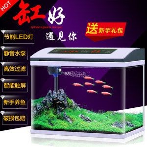 魚缸養魚常見病與用藥：在魚缸養魚時，可能會遇到各種疾病問題，正確的用藥方式是關鍵 魚缸養魚常見病與用藥：在魚缸養魚時，可能會遇到各種疾病問題，正確的用藥方式是關鍵 魚缸百科 第3張