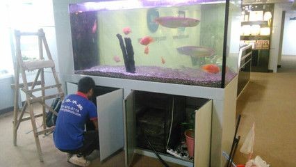 超市魚缸養魚技術培訓內容：超市養魚技術培訓