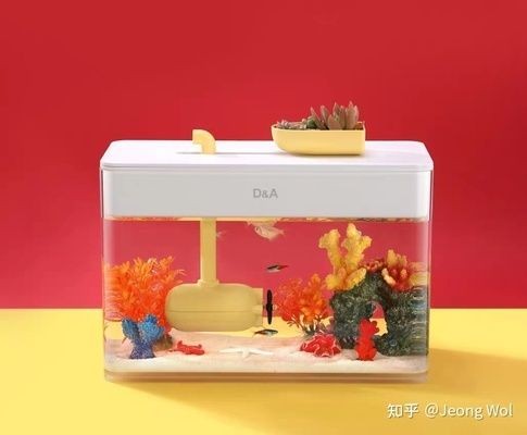 不用清理魚缸的魚有哪些品種：清潔魚的種類和特點