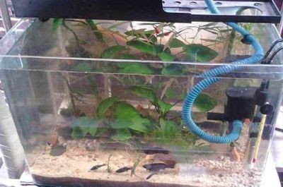 成品魚缸底部開孔視頻