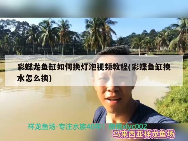 彩蝶龍魚缸如何換燈泡視頻教程(彩蝶魚缸換水怎么換)