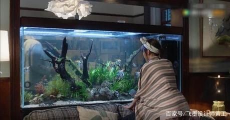 超大魚缸：制作超大魚缸需要選擇合適的材料和遵循一定的流程