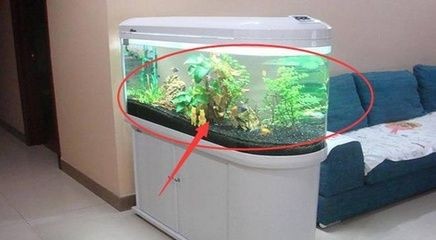 擺放空魚缸好嗎：空魚缸擺放的注意事項(xiàng)魚缸擺放的注意事項(xiàng)魚缸擺放位置