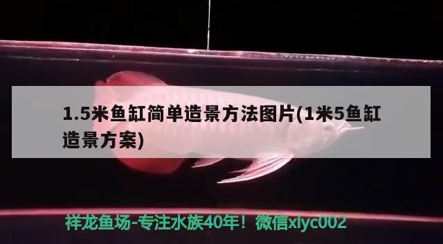 寧陽縣亮點水族館（寧陽縣亮點水族館地址）