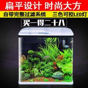 不換水的生態魚缸：不換水的生態魚缸是一種怎樣的存在？