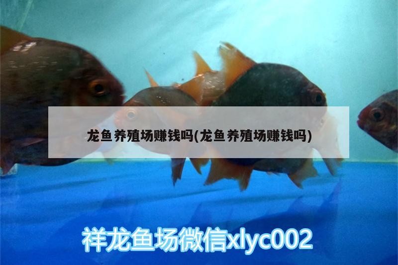 莆田魚缸維修電話號碼查詢電話（莆田魚缸維修電話號碼查詢電話地址）