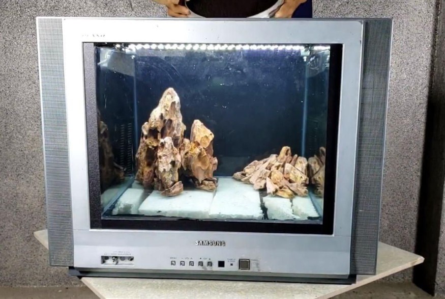 大型魚缸造景設計：大型魚缸造景的歷史和發展 大型魚缸造景設計：大型魚缸造景的歷史和發展 魚缸百科 第3張
