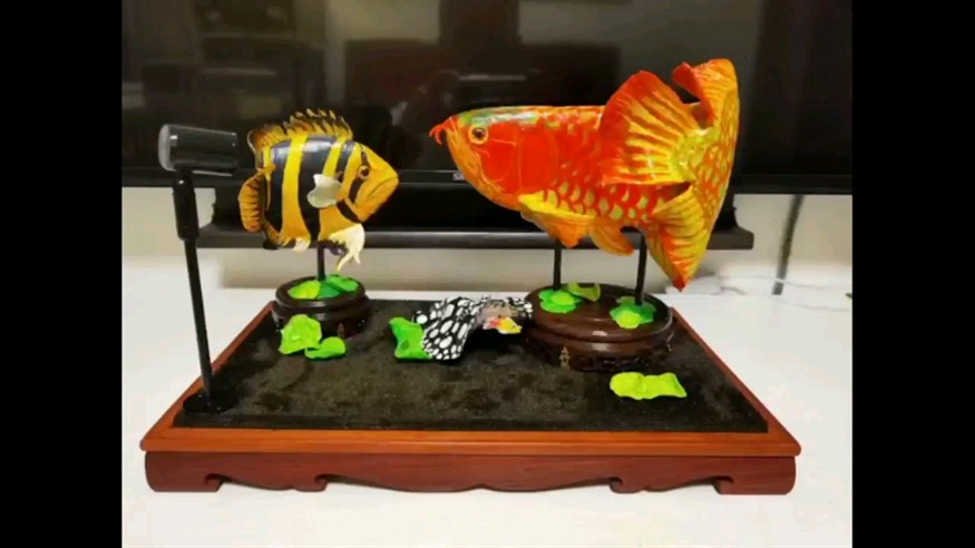 這條虎魚有點害怕
