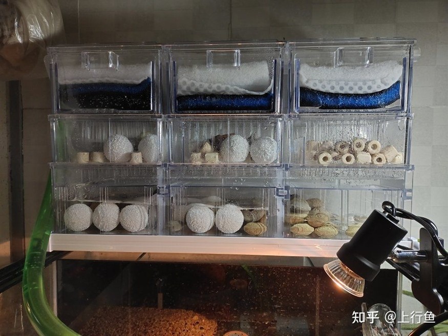 冬天魚缸需不需要開氧氣泵：冬天養魚需要開氧氣泵嗎