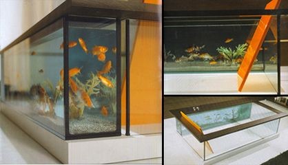 帶我去魚缸咖啡:南京魚缸咖啡館 魚缸百科 第2張 帶我去魚缸咖啡:南京魚缸咖啡館 帶我去魚缸咖啡:南京魚缸咖啡館 魚缸百科 第2張