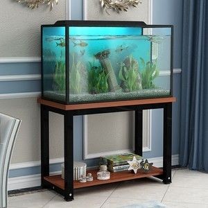 不銹鋼魚缸底座：不銹鋼魚缸底座的保養方法不銹鋼魚缸底座的保養方法 不銹鋼魚缸底座：不銹鋼魚缸底座的保養方法不銹鋼魚缸底座的保養方法 魚缸百科 第3張