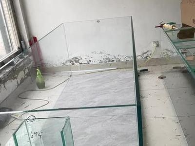 龍魚缸底鋪什么最好養