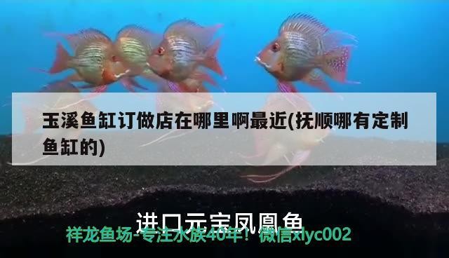 玉溪魚缸訂做店在哪里啊最近(撫順哪有定制魚缸的) 玉溪魚缸訂做店在哪里啊最近(撫順哪有定制魚缸的) 銀龍魚百科