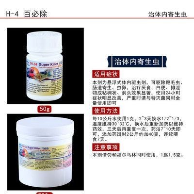 龍魚怎么預防腸炎復發呢用什么藥 龍魚怎么預防腸炎復發呢用什么藥 龍魚百科 第3張
