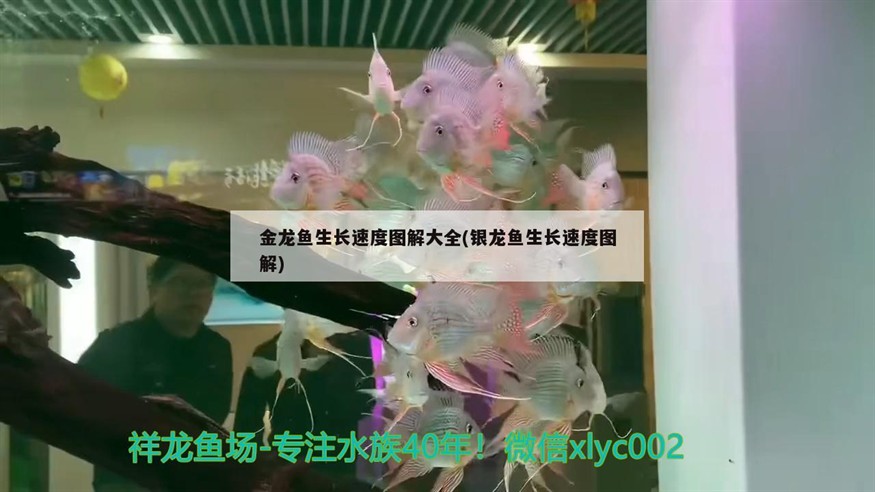 全身性水泡病是一種由病引起的急性傳染病，應(yīng)立即就醫(yī)，全身性水泡病如何處理