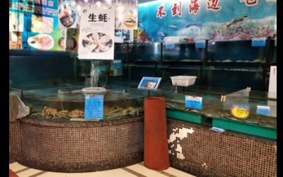 白溝魚缸批發市場在哪里啊幾點開門：<strong><mark>保定</mark></strong>白溝魚缸批發市場開門時間