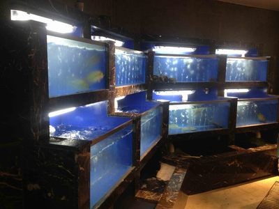 白溝魚缸批發(fā)市場在哪里啊幾點開門：保定白溝魚缸批發(fā)市場開門時間