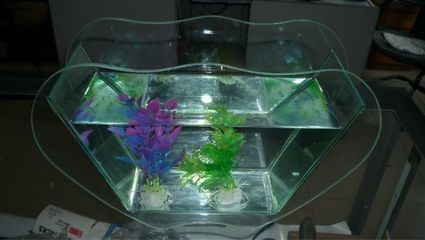 玻璃造型魚缸：玻璃造型魚缸的制作過程