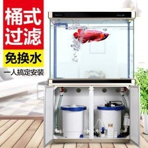 龍魚過濾器材怎么搭配好看 龍魚過濾器材怎么搭配好看 龍魚百科 第1張