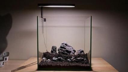 玻璃自己做魚缸好嗎：自制玻璃魚缸是一種經濟實惠的選擇