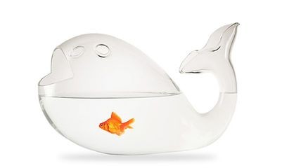 布景的魚缸怎么清理：清洗帶有布景的魚缸的主要步驟和注意事項