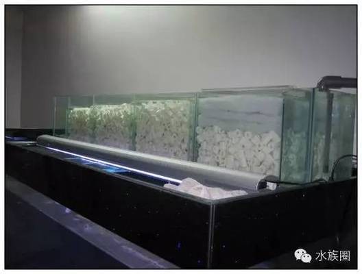 烏拉特中旗漁友之家水族館（烏拉特中旗漁友之家水族館電話）