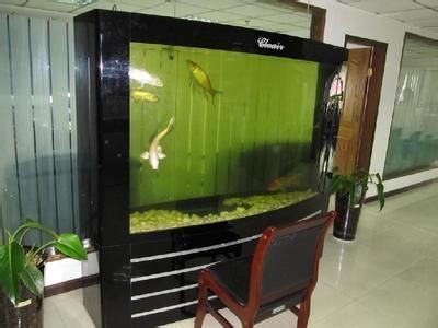 搬魚缸怎么搬需要拆開嗎：搬魚缸搬運時需要注意什么，搬魚缸需要注意什么工具