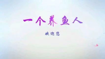 龍魚的作文怎么寫300字三年級