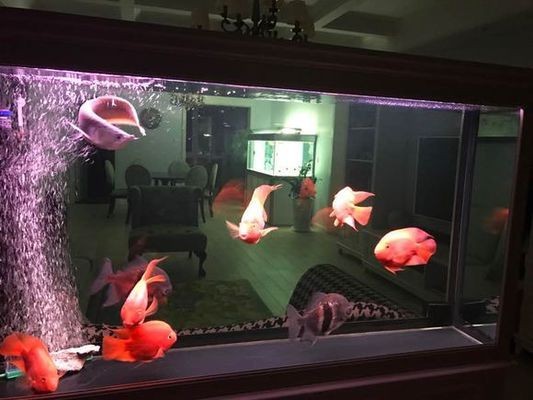 樂陵市新盛源生態(tài)水族館（樂陵市新盛源生態(tài)水族館電話）