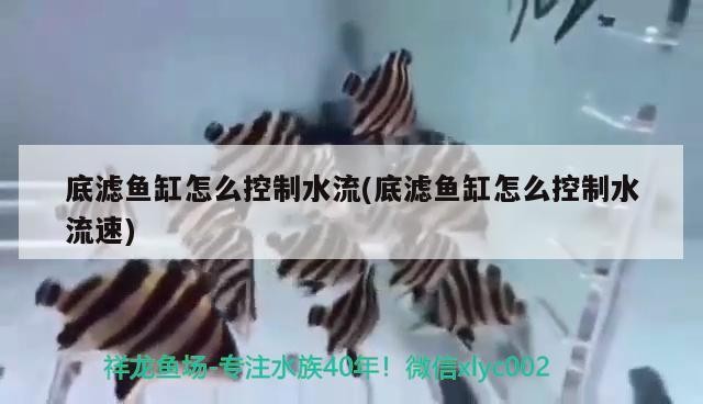 底濾魚缸怎么控制水流(底濾魚缸怎么控制水流速) 底濾魚缸怎么控制水流(底濾魚缸怎么控制水流速) 紅龍魚百科