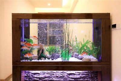 愛馬仕魚缸 愛馬仕魚缸 魚缸百科 第3張