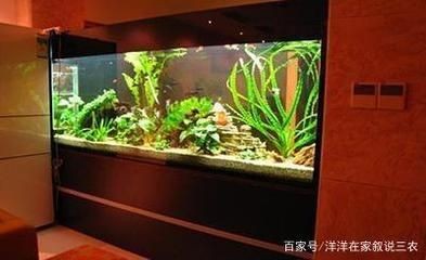 大型魚缸怎么保溫：冬季魚缸保溫方法