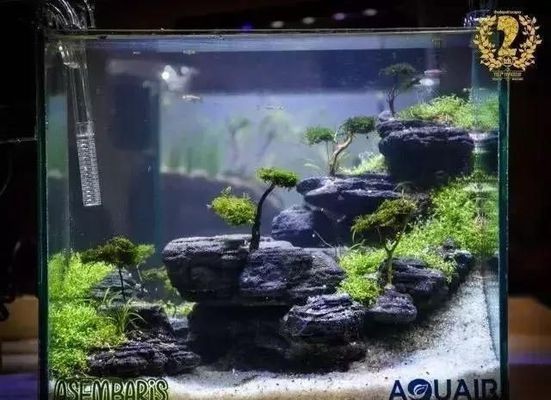 鄒平宏業水族店（鄒平宏業水族店電話）