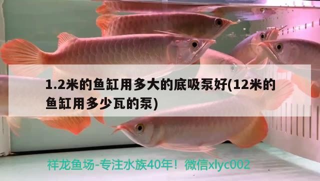 1.2米的魚缸用多大的底吸泵好(12米的魚缸用多少瓦的泵)
