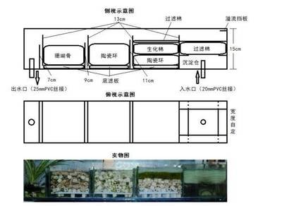 招遠市仁和水族館（招遠市仁和水族館電話）
