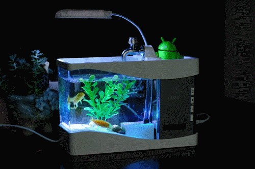 超白小魚(yú)缸哪個(gè)品牌好用點(diǎn) 超白小魚(yú)缸哪個(gè)品牌好用點(diǎn) 魚(yú)缸百科 第1張