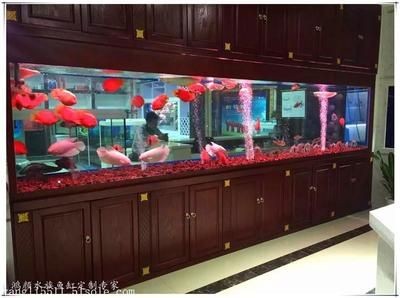 超大魚缸定制 超大魚缸定制 魚缸百科 第1張