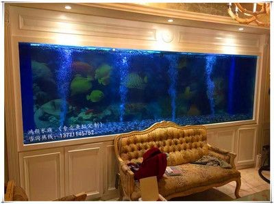 超大魚缸定制 超大魚缸定制 魚缸百科 第3張