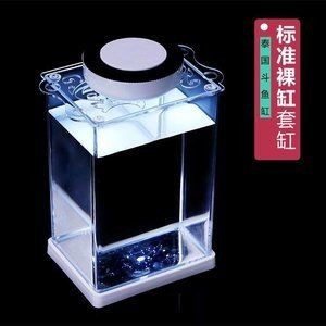 斗魚缸如何換水：斗魚缸養護全攻略