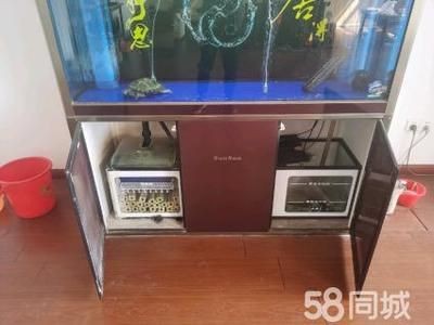 本地二手魚缸轉(zhuǎn)讓平臺(tái)：個(gè)人二手魚缸出售專區(qū)、個(gè)人二手魚缸出售專區(qū)個(gè)人二手魚缸出售專區(qū)