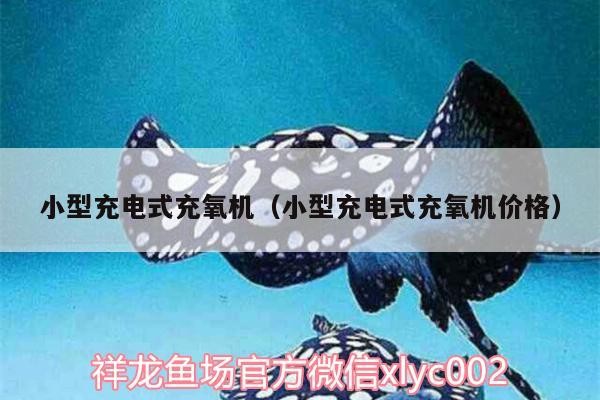 小型充電式充氧機（小型充電式充氧機價格）